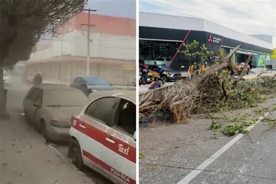 Soğuk Cephe 11, kuvvetli rüzgarlarıyla Poza Rica'daki (sol) şiddetli sel felaketinin ardından oluşan kuru çamurun yükselmesine, ayrıca orta bölgede (sağ) ağaçların devrilmesine neden oldu.