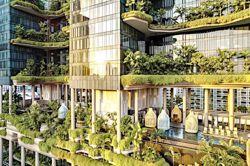 Con 15 mil m² de vegetación, PARKROYAL captura lluvia, genera sombra y reduce temperatura.