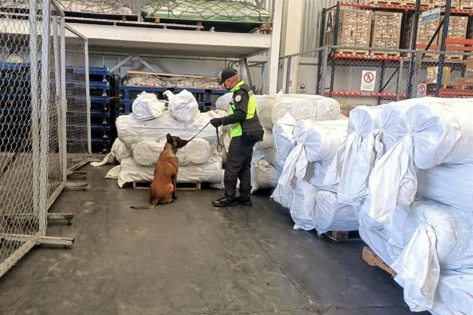 En el AIFA, agentes de la GN y personal de Aduanas aseguraron un cargamento de fentanilo; pese a las incautaciones el Gobierno de Estados Unidos pide más