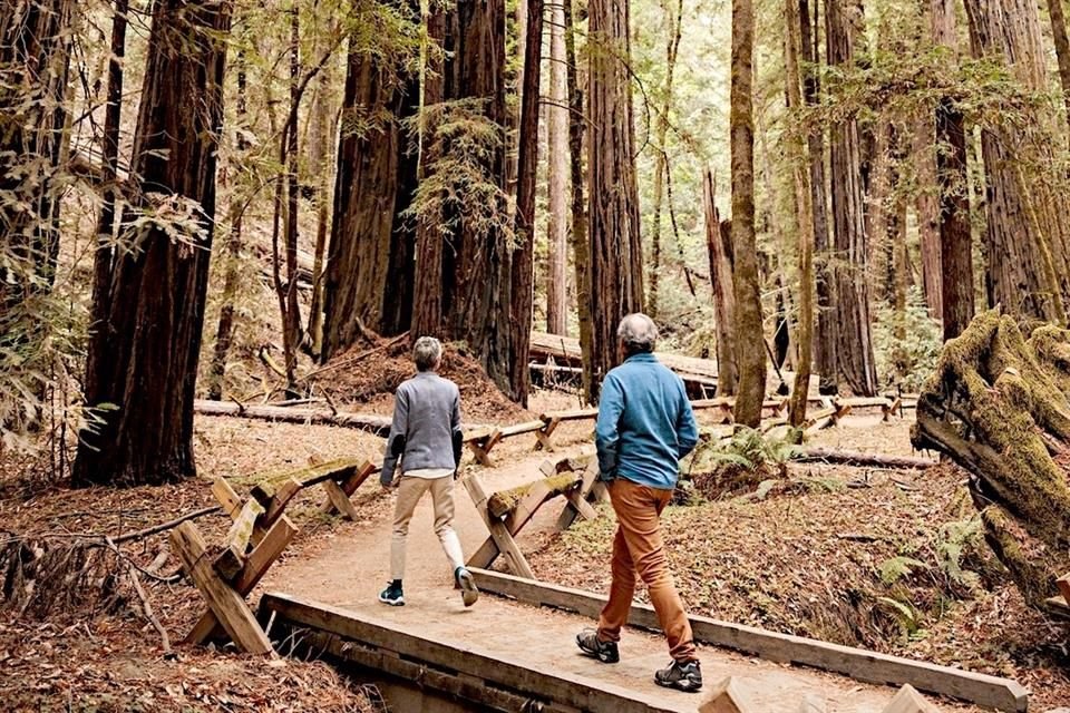 Nel Jack London State Park è possibile fare escursioni lungo i sentieri ed esplorare la casa dello scrittore.
