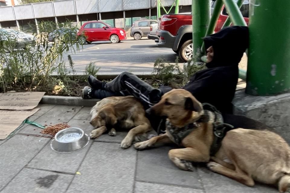 César y sus dos perros son algunos de los ocupantes de campamentos.