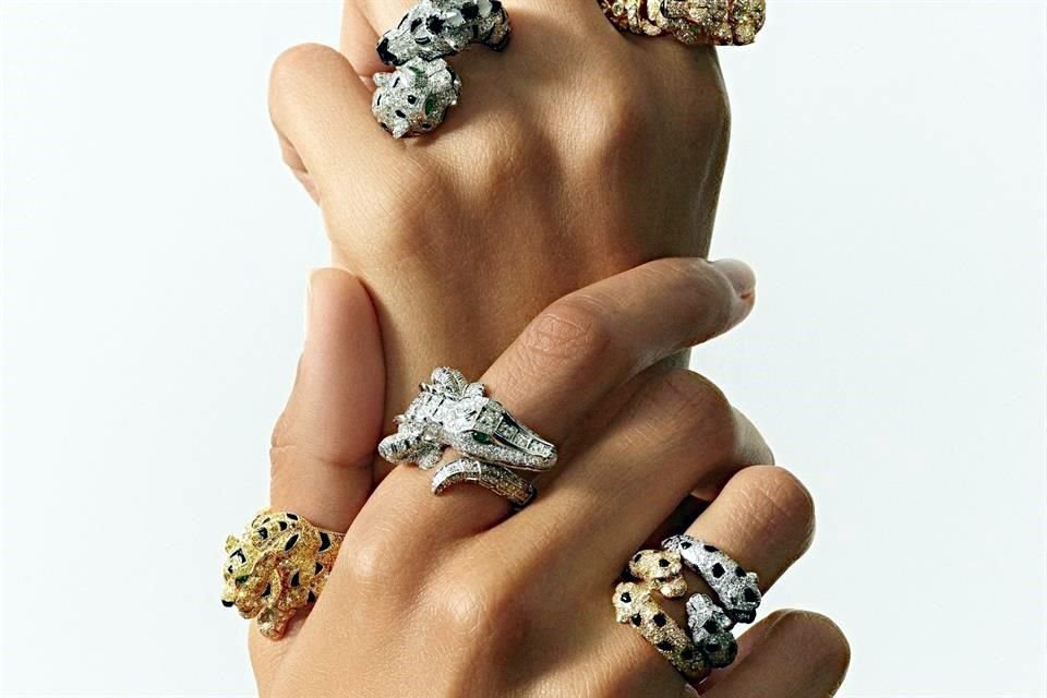 Cartier descubre personalidades en los animales que existen en la naturaleza.