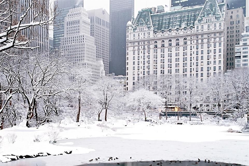 Nueva York brilla en invierno con hoteles icónicos, experiencias de cine y ambientación navideña, que convierten cada visita inolvidable.