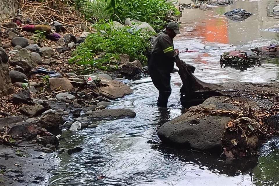 Entre enero y junio, la Alcaldía realizó jornadas de limpiezaen el Río Magdalena. Toneladas de basura fueron retiradas.