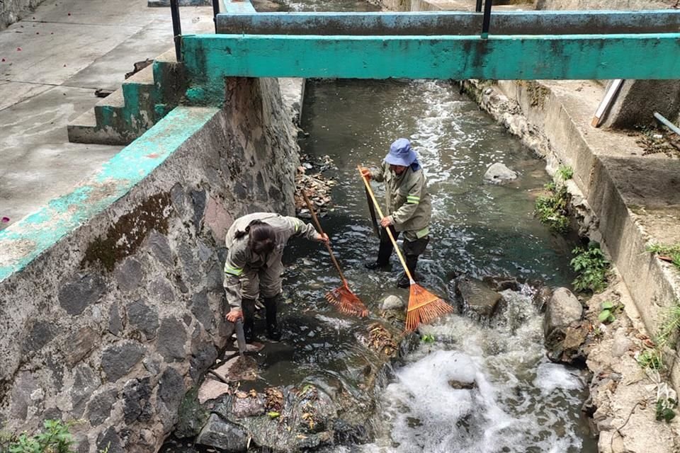 Por ser uno de los pocos cauces vivos de la CDMX, esteafluente tiene una relevancia ecológica mayor.