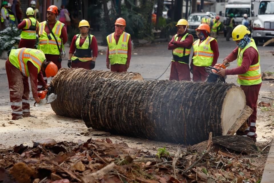 Vecinos buscan que un jardín polinizador gane una mayor extensión.