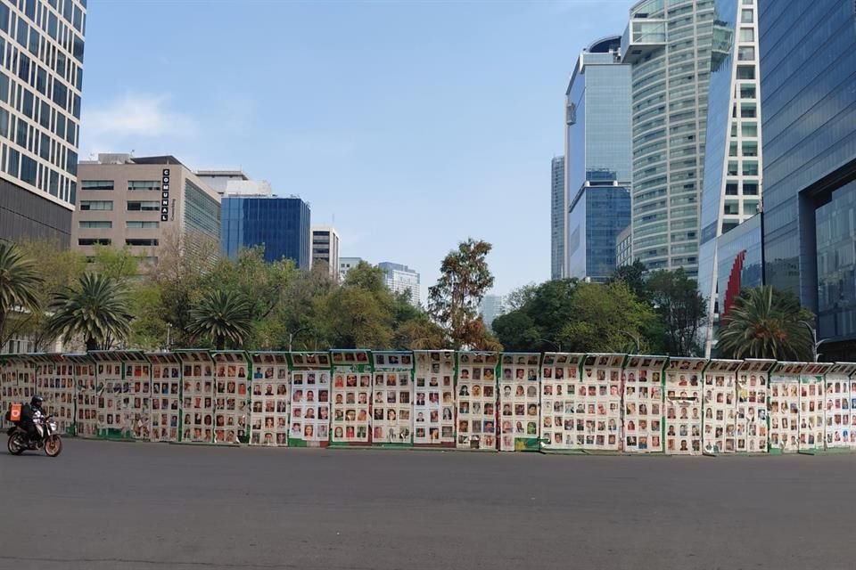 Las vallas que protegen al ahuehuete lucen las fichas de búsqueda de las víctimas de desaparición.