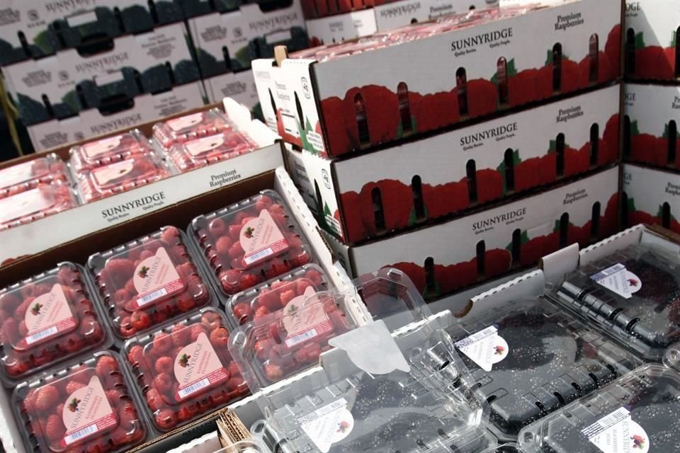 Productos como las Berries deben tener denominación de origen