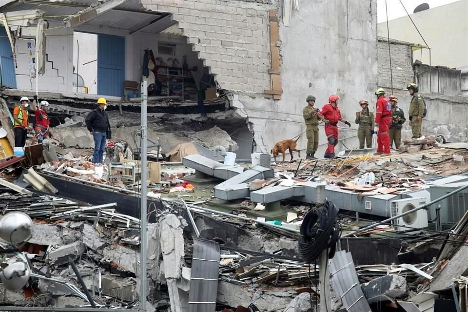 En el edificio de lvaro Obregn 286, que colaps en el temblor, murieron 49 personas. 