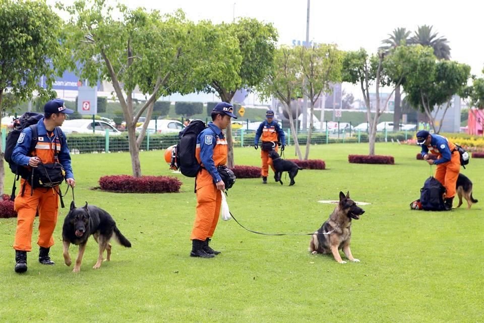 Los rescatistas llegaron acompañados de cuatro canes  especializados en la búsqueda de personas.