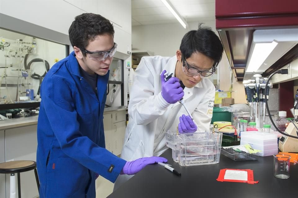 Estudiantes del laboratorio de Carolyn Bertozzi, en 2016, cuando desarrollaban una versión anterior de la prueba.
