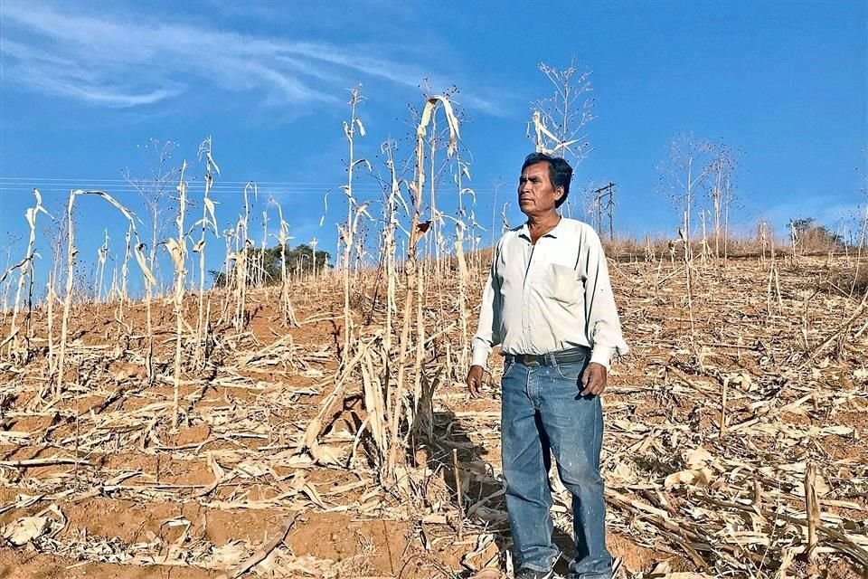 Habitantes de Yucuná enfrentan desde hace meses las condiciones de sequía.
