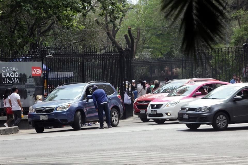 Falsos franeleros ofrecen estacionamiento por $50, sobre Reforma, a visitantes del Bosque de Chapultepec .