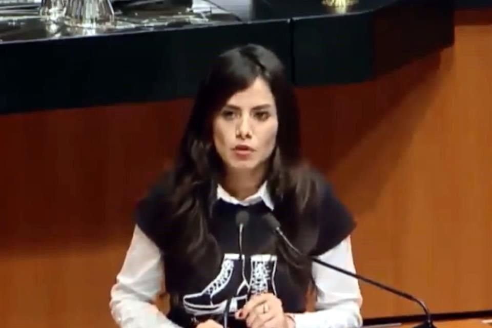 La senadora Verónica Delgadillo aseguró que ni Robles, ni Elba Esther Gordillo ni Javier Duarte son 'chivos expiatorios'.