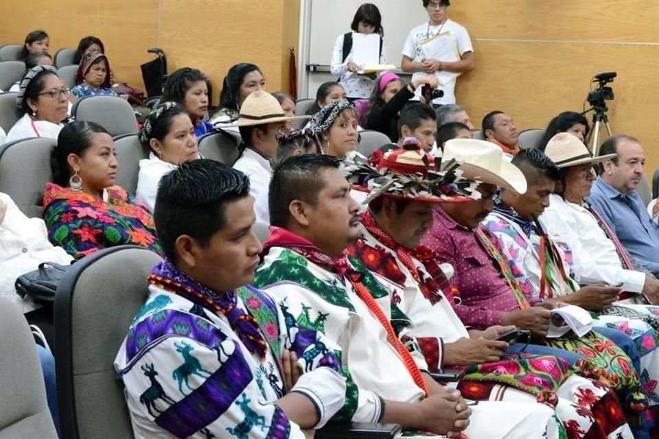 Una iniciativa de ley impulsada por Morena propone que los pueblos indígenas sean consultados para obras que ocupen sus territorios.