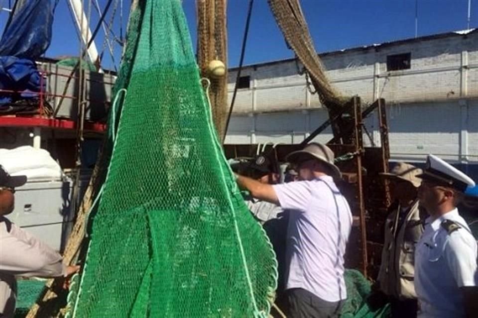 Expertos de la NOAA aprobaron el uso de Dispositivos Excluidores de Tortugas (DET) en la pesca de camarón de Sinaloa y Sonora.