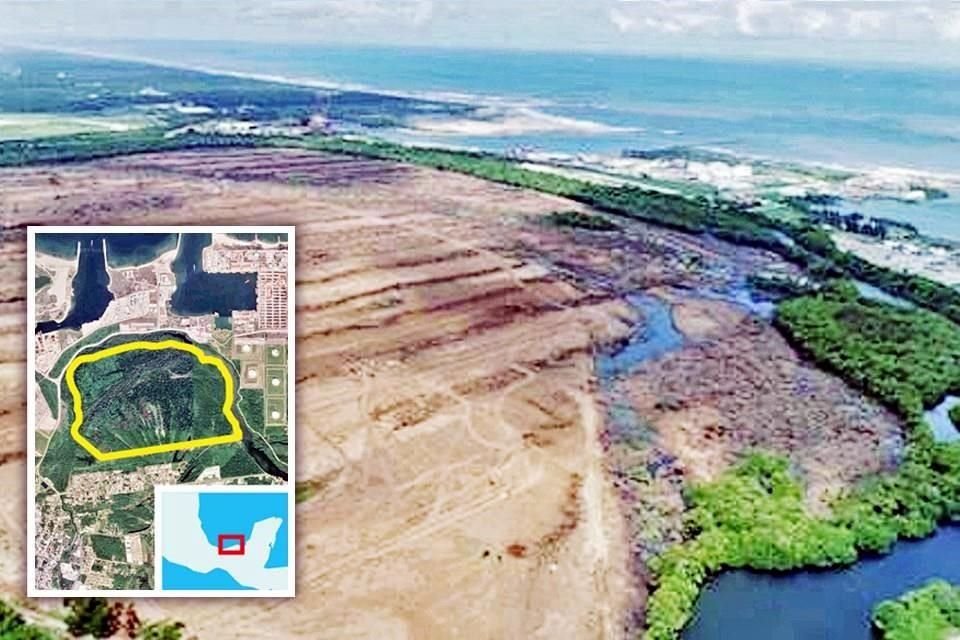 Pese a no tener permisos ambientales, 300 has. de selva y manglares fueron desmontadas para proyecto de refinería en Tabasco, acusó ONG.