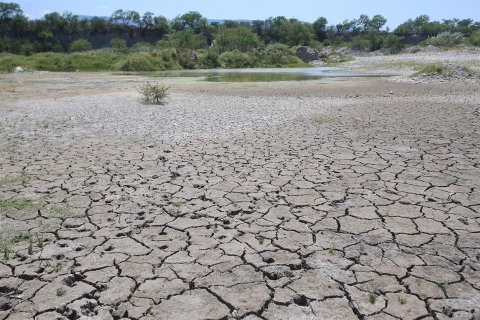 Ante problemas climatólogicos y sin apoyos para enfrentarlos, algunos productores han decidido abandonar sus tierras.