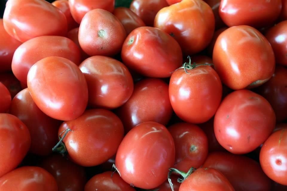 La medida de inspección al tomate mexicano entrará en vigor en los próximos 6 meses.