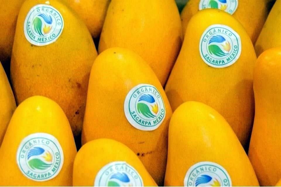 Las exportaciones del cuatrimestre de mango cayeron 3.6%.