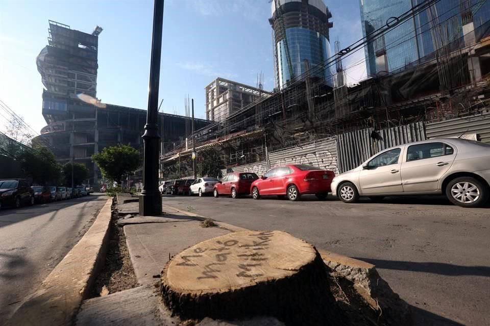 La tala de árboles provocó que el Gobierno de la Ciudad suspendiera la construcción del paso subterráneo. Los vecinos dieron su aval.