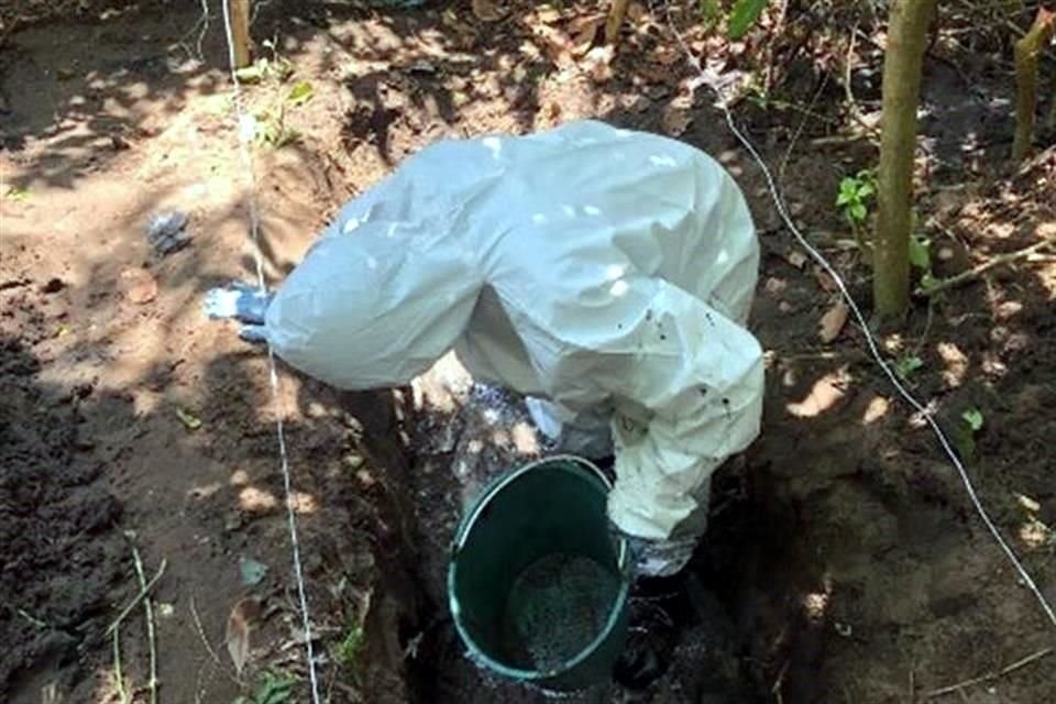 Según datos de la Segob, entre el 1 de diciembre y el 13 de mayo han sido localizadas 222 fosas clandestinas en el País, de las que se exhumaron 337 cuerpos.