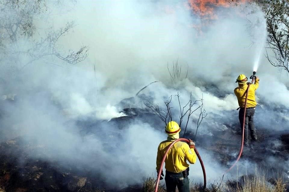 La Conafor estima que los 68 incendios activos en el País han afectado 22 mil 153 hectáreas.