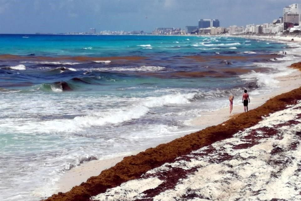 Aspectos de sargazo en playas de Quintana Roo.