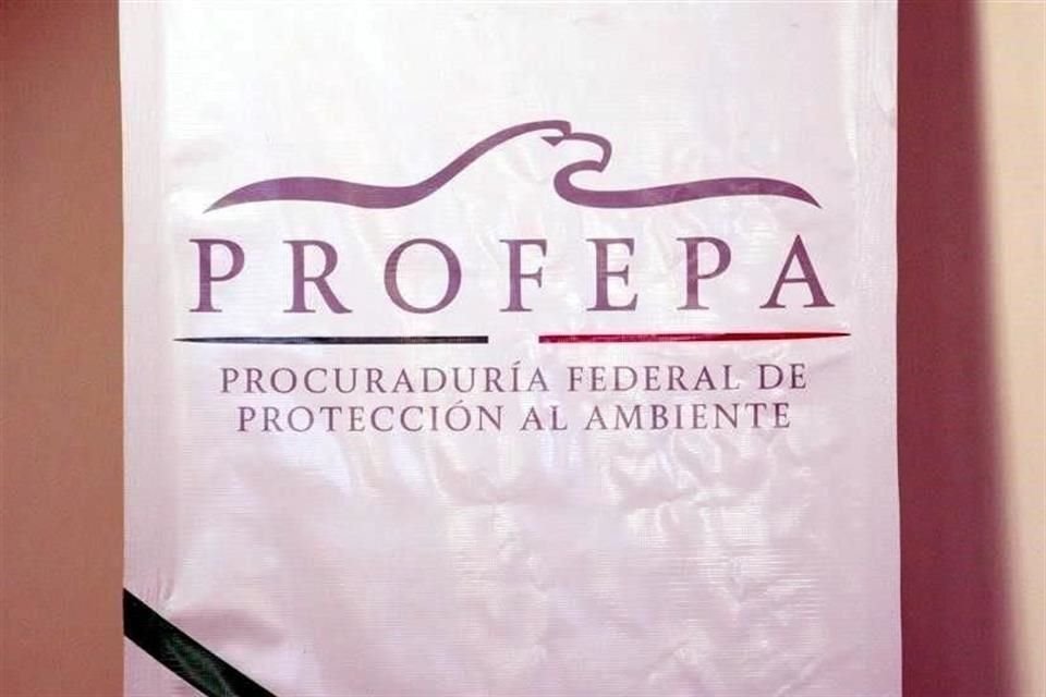Los otros cuatro funcionarios de Profepa en Baja California, Nuevo León, Morelos y Querétaro habían presentando su renuncia desde diciembre.