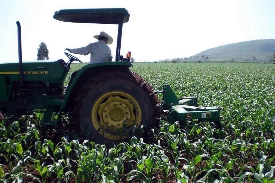 El Presidente indicó que pedirá a Secretario de Agricultura apurar la distribución de fertilizantes en Guerrero, pues 'se están tardando'.