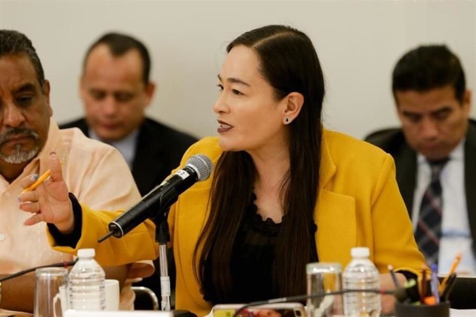 La legisladora lamentó que la Cámara baja no esté legislando respecto a las problemáticas y necesidades del País.