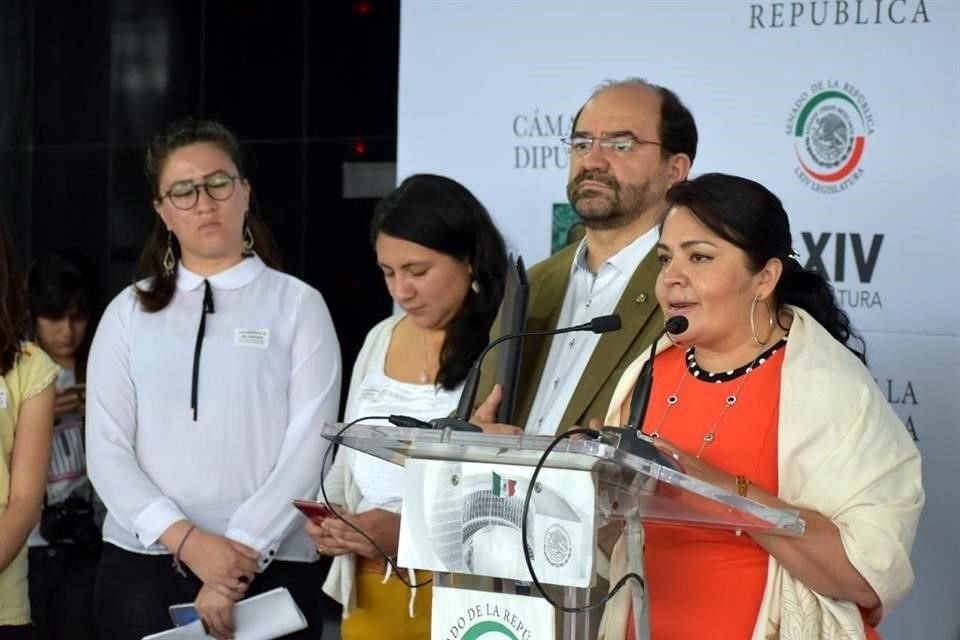 Nestora Salgado refirió que en los últimos días se han constatando una serie de asesinatos de personas defensoras de derechos humanos y periodistas.