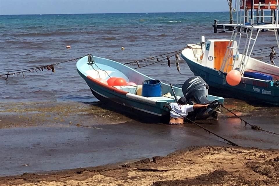 A los pescadores y prestadores de servicios turísticos les cuesta trabajo hasta mover sus lanchas debido al sargazo.