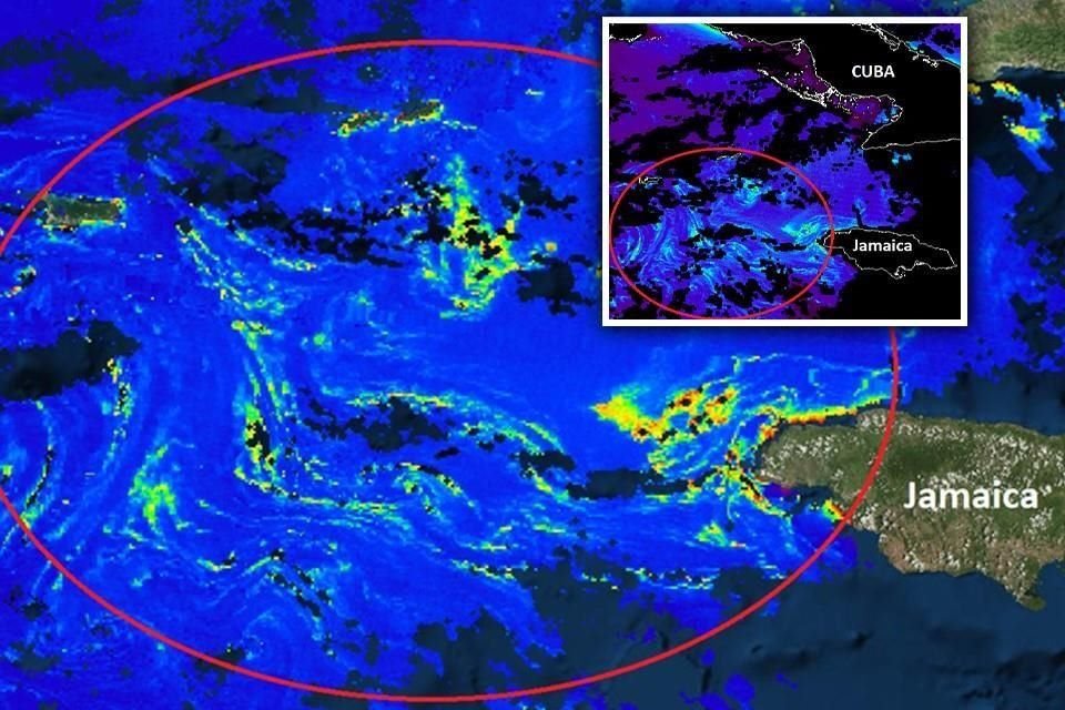 Red de Monitoreo de Cancún alertó que una 'isla de sargazo', de 550 km de diámetro, arribará a las costas de QR la próxima semana.