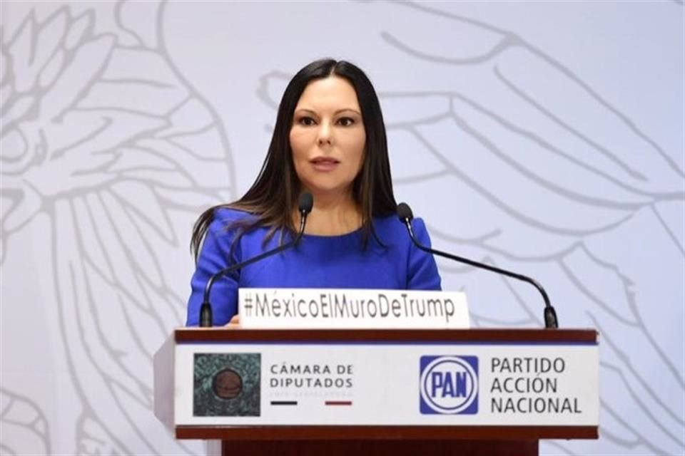 Rojas exigió al Gobierno federal que garantice el respeto a los derechos humanos de los migrantes, en los operativos que realiza la Guardia Nacional en las fronteras del País.