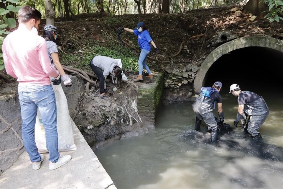 Con botas, cubrebocas, mandiles y bolsas de basura, decenas de personas dedicaron la mañana de ayer a limpiar el río, así como los alrededores de los Viveros de Coyoacán.
