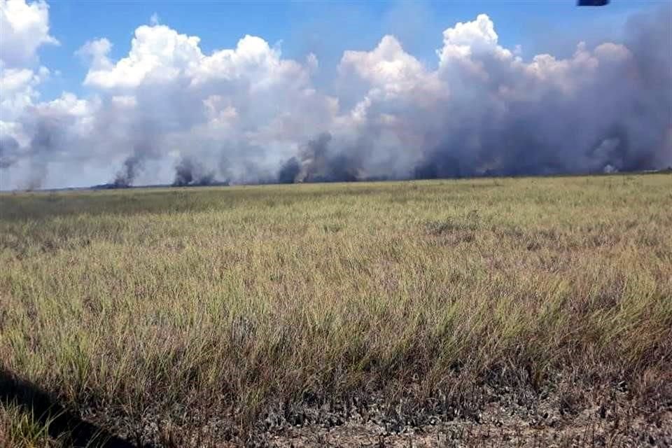 El incendio que inició el pasado 8 de julio ha afectado hasta el lunes 15 2 mil 500 hectáreas.