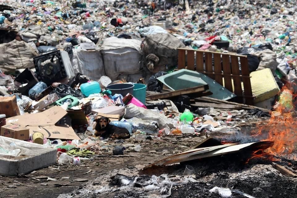 Advierte un estudio por 8 mil toneladas de basura capitalina enviadas a rellenos