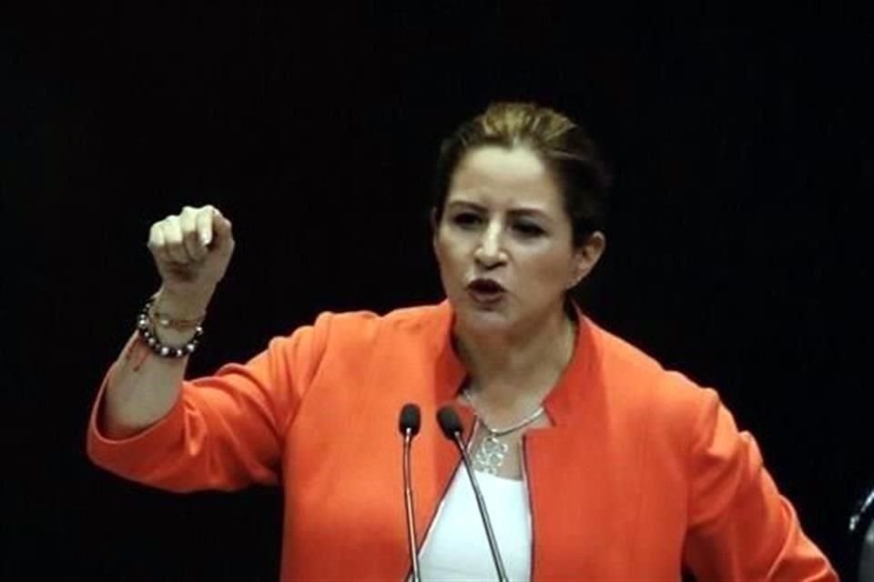 La diputada Martha Tagle sostuvo que es indispensable establecer una mesa de trabajo para elaborar reformas que eviten abusos y arbitrariedades contra la ciudadanía.