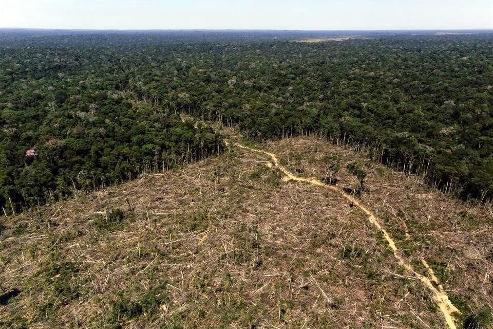 El Fondo tiene como objetivo la preservación del Amazonas para reducir los efectos del gas invernadero.