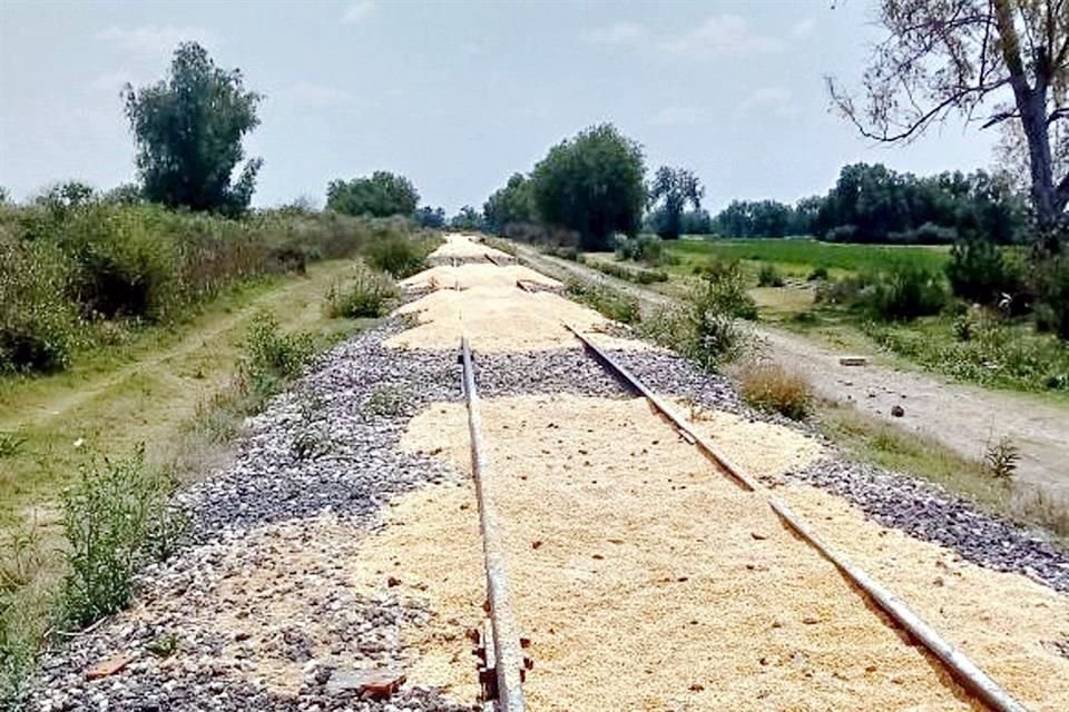 Toneladas de granos son arrojadas a las vas para forzar al tren a bajar la velocidad mientras pobladores arrojan piedras a la locomotora.