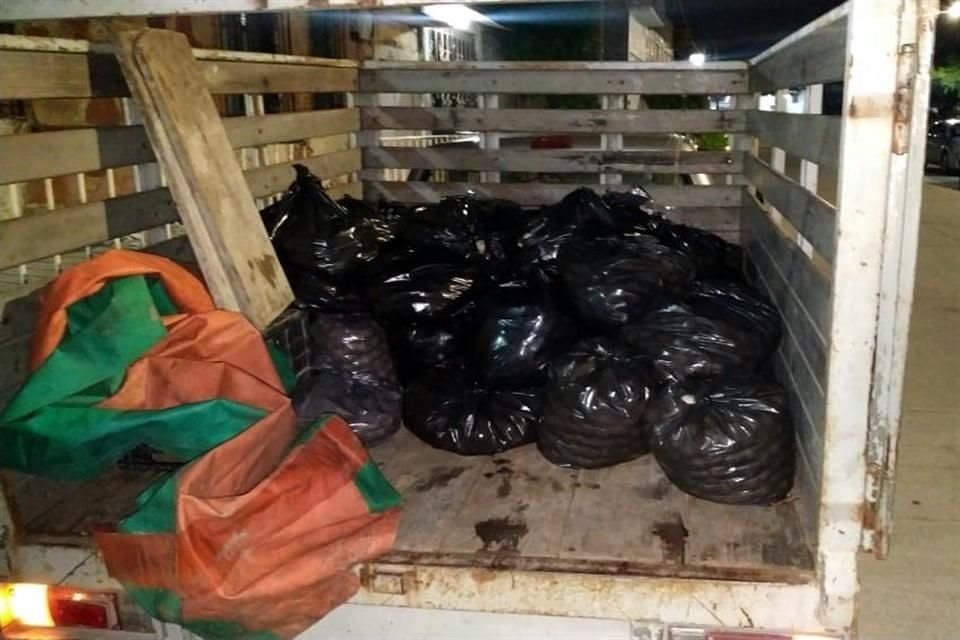 Las autoridades contabilizaron 48 bolsas de plástico con 24 mil huevos.