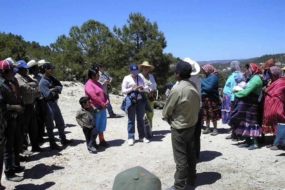La periodista tenía una relación muy cercana con comunidades rarámuris que habitan la como sierra Tarahumara.