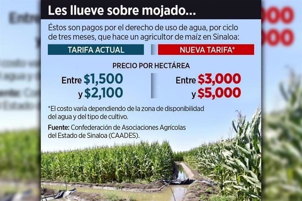 Productores advierten que si Senado avala encarecer cuota por agua -que se aprobó en San Lázaro- será 'tiro de gracia' para la agricultura.