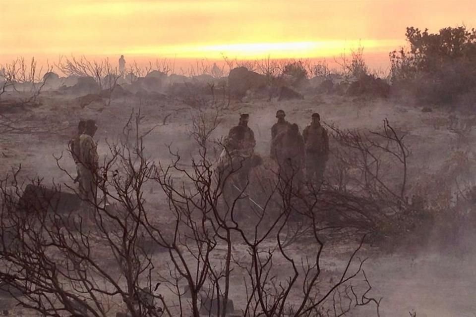 El funcionario estatal estableció que Conafor aún no ha determinado la causa de los incendios.