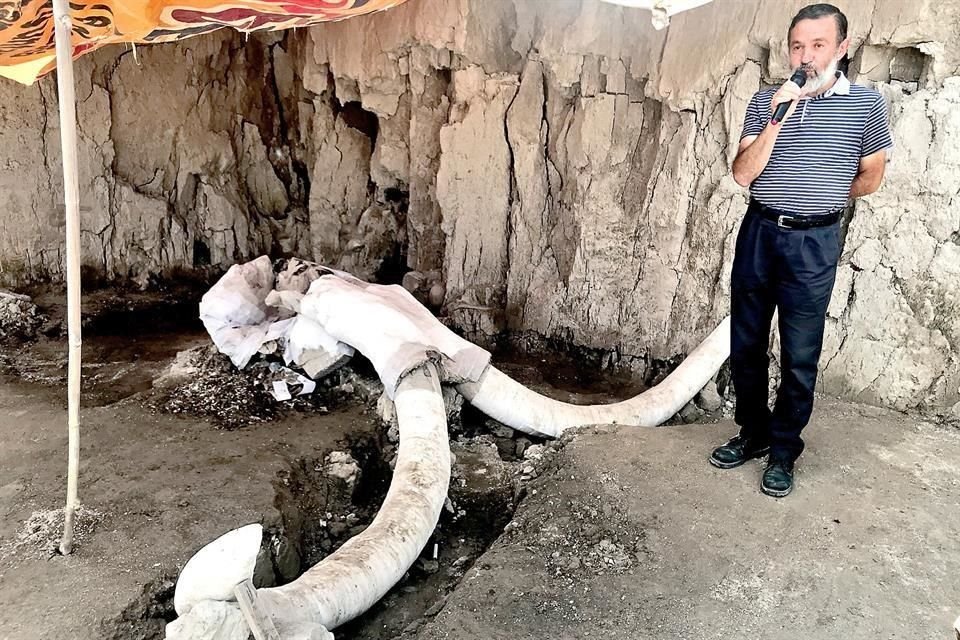 Luis Córdoba, a cargo de las excavaciones, ante unos colmillos de mamut hallados en las trampas; allí mismo eran destazados los animales.