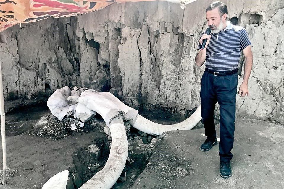 Luis Córdoba, a cargo de las excavaciones, ante unos colmillos de mamut hallados en las trampas; allí mismo eran destazados los animales.