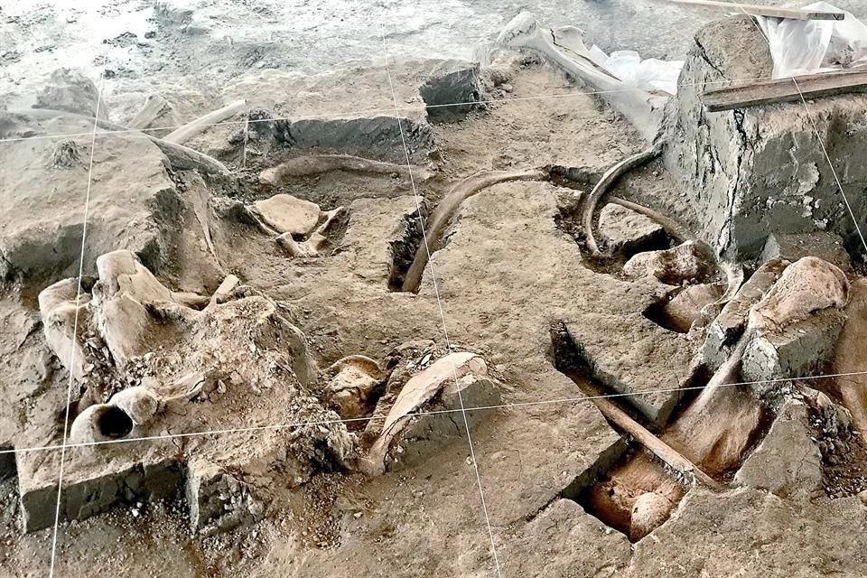 Por el número de vestigios hallados, esta zona supone la entrada de México al catálogo mundial de 'megasitios' de mamuts.