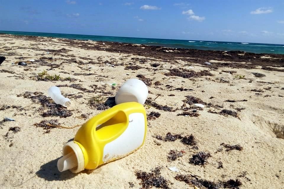 Los plásticos representan entre el 80 y el 85 por ciento del total de los residuos marinos encontrados en las playas.