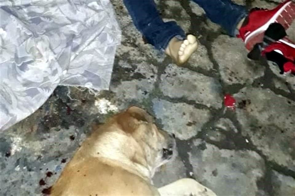 Un grupo armado no solo mató a un hombre e hirió a dos más, también asesinó a un perro que estaba con ellos, en Valle de Chalco.